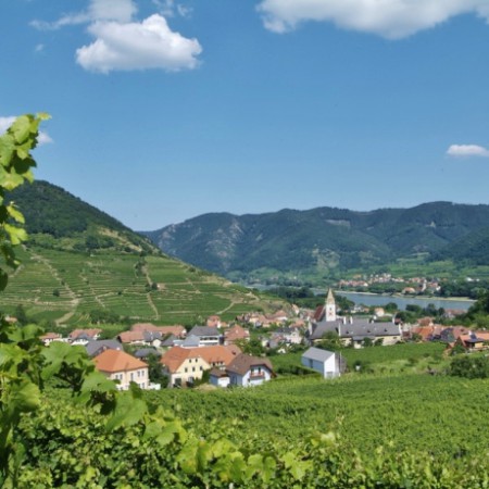 Fietsvakantie Donau langs boerderijen