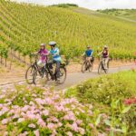 Fietsen met kinderen Duitsland langs de Moezel