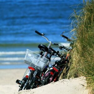 Elberadweg Noordzee etsvakantie langs de Elbe