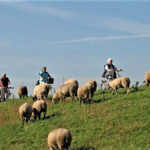 Elberadweg etsvakantie langs de Elbe