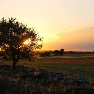 Puglia fietsen omgeving